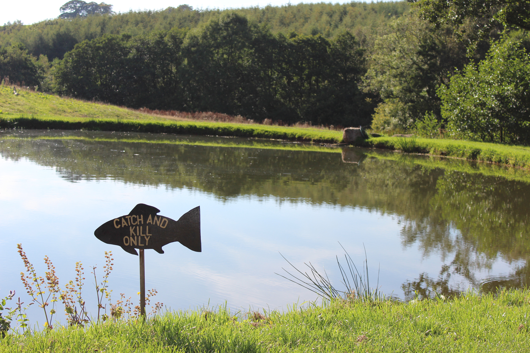 Fishery